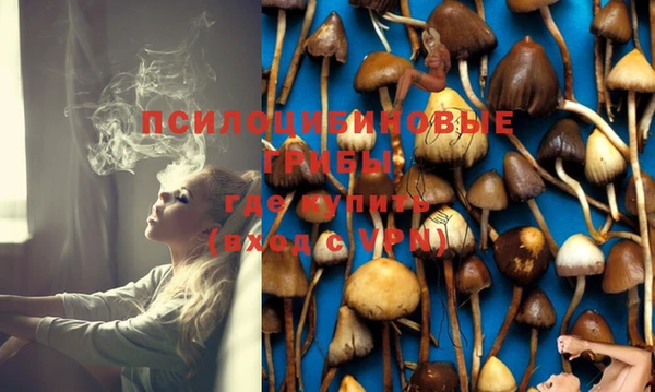 бутик Грязовец