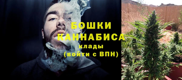 дурь Алзамай