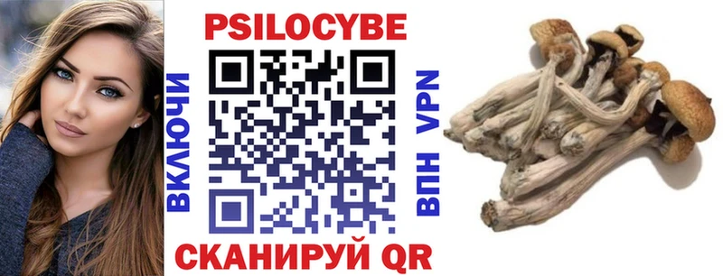 где купить Калтан Галлюциногенные грибы Psilocybe